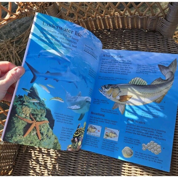 Usborne Internet Linked First Encyclopedia Lot 2 Books Science, Seas & Oceans - Picture 12 of 14